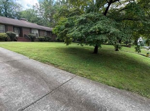 Suzanne J.'s lawn service service result