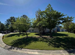 Tkeyah B.'s lawn care services service result