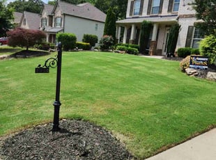 Dave K.'s turf care service result