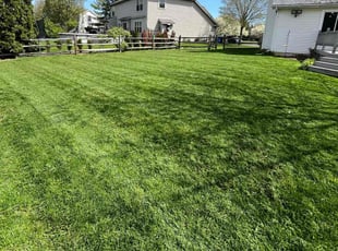 Sherry C.'s turf care service result