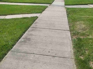 Anthony L.'s Bush Trimming service result