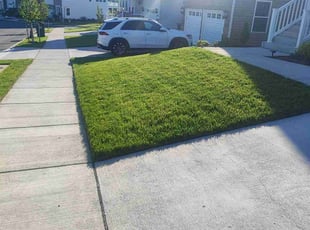 Betty M.'s turf maintenance service result