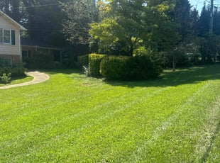 Ashley G.'s yard service service result
