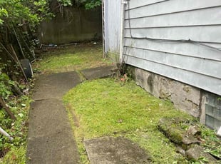 Troy G.'s turf maintenance service result