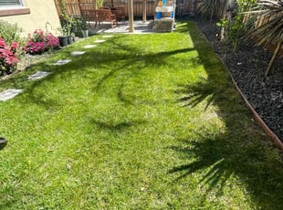 Marcia J.'s lawn maintenance service result