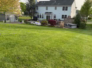 Diane B.'s Leaf Removal service result