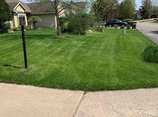 Dan M.'s turf maintenance service result