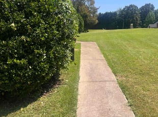 Kyle N.'s Bush Trimming service result