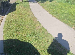 Kyung P.'s lawn service service result