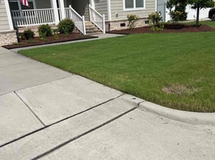 Alfonso M.'s yard service service result