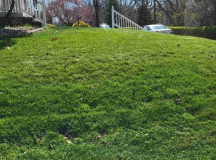 Zach B.'s turf care service result