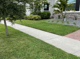 Dave W.'s yard maintenance service result