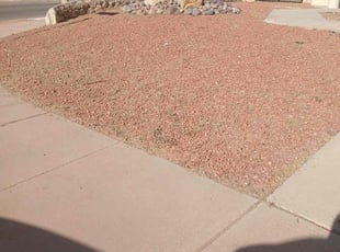 Claudine H.'s turf maintenance service result