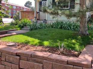 Jesus R.'s turf maintenance service result