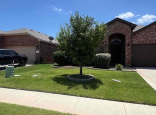 Deandray S.'s Tree Care service result