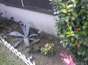Michael T.'s Flower Bed Weeding service result