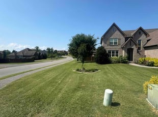 Michael G.'s turf maintenance service result