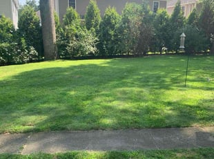 Eric C.'s grass maintenance service result