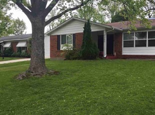Milly A.'s lawn service service result