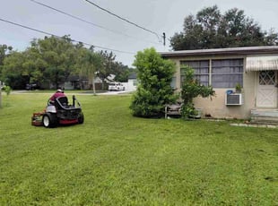 Sharon L.'s grass cutting service result