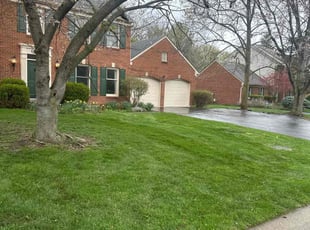 Karen N.'s lawn service service result