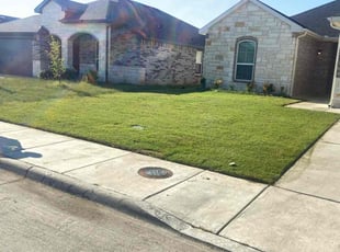 Ashena S.'s grass maintenance service result