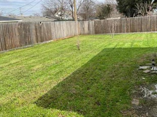 Brad L.'s lawn care service result