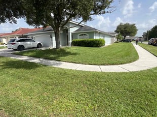 Luci G.'s lawn care service result
