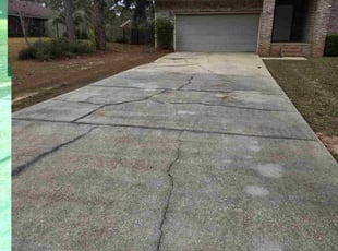 Santo B.'s lawn care service result