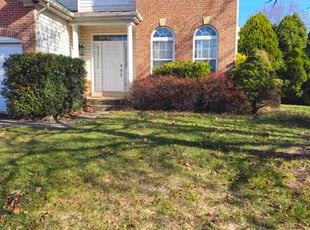 Mary Q.'s Bush Trimming service result