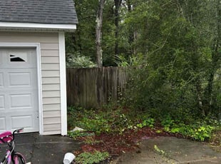 Jeanette L.'s Bush Trimming service result