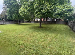 Parker S.'s grass maintenance service result