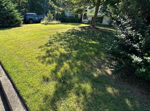 Yvonne T.'s turf maintenance service result