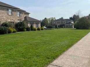 Laurie O.'s turf maintenance service result