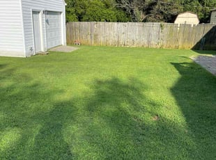 Shawna T.'s grass cutting service result