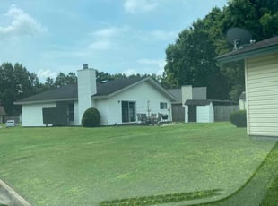 Steve S.'s grass maintenance service result