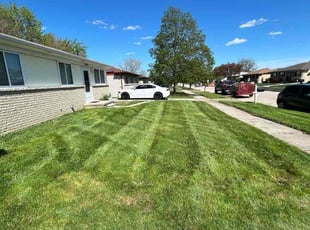 Wendy S.'s grass maintenance service result