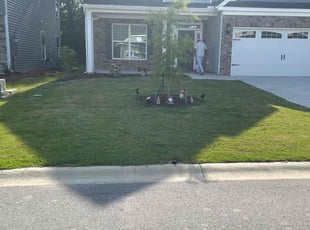 Adam A.'s lawn care services service result