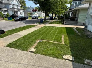 Joanna P.'s lawn maintenance service result