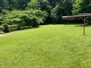 Robert G.'s grass maintenance service result