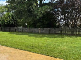 Eric L.'s lawn maintenance service result