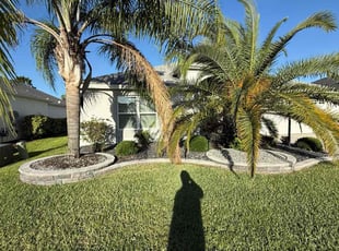 Patricia D.'s Weeding service result