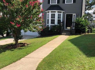 Michael D.'s lawn care services service result