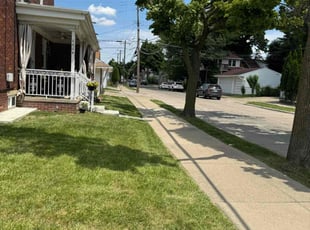 Alex A.'s turf care service result