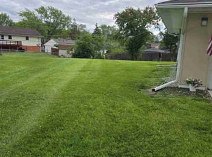 Donnie S.'s landscape maintenance service result
