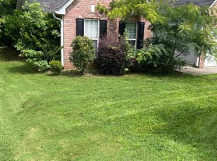 Tamara A.'s lawn maintenance service result