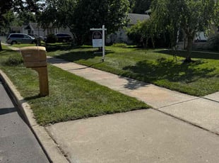 Shawntay M.'s turf care service result