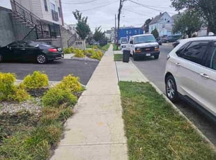 James B.'s grass maintenance service result