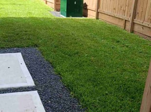 Karen D.'s grass maintenance service result