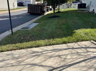 Jeremy B.'s Long Grass Cleanup service result